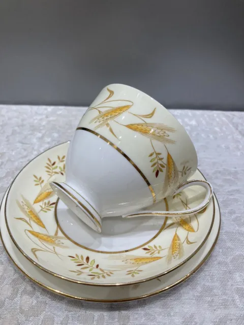 Vintage Queen Anne Fine Bone China Ears of Barley 5440 pattern Cup Saucer &plate 2