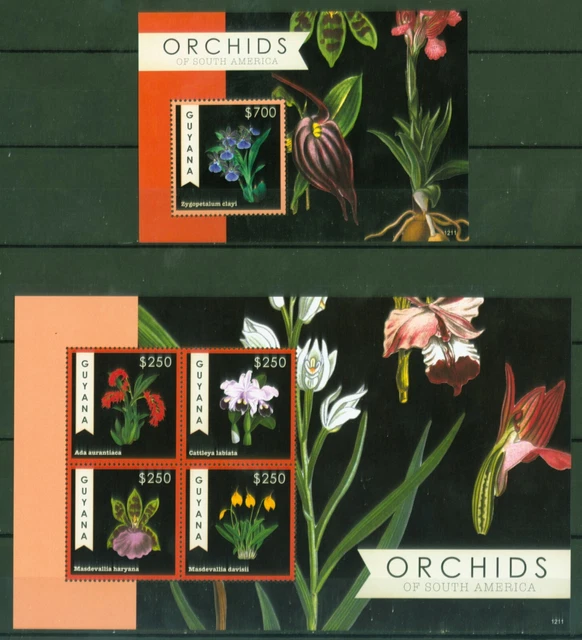 Guyana 2012 - Orchideen Blumen Ada Cattleya Masdevallia Nr. 8302-05 + Block 853
