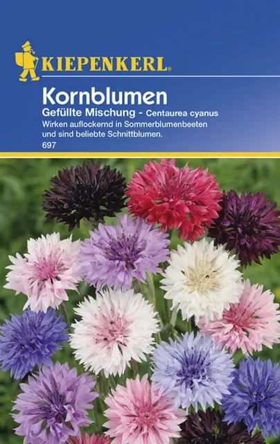 Kornblume * Gefüllte Mischung * MHD 01/26 Bauerngarten Kiepenkerl 697