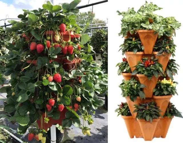 5 Tier Vertical Garden Strawberry Stackable Planters Herbs Petunias Pancy 2