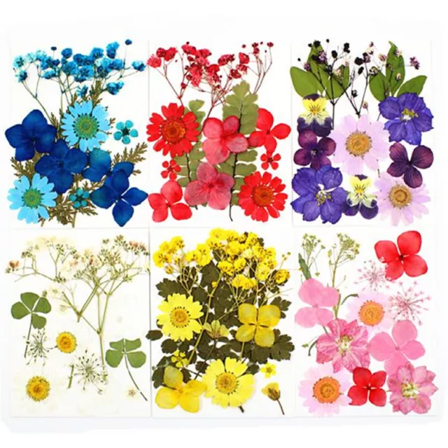 Real Dried Flower Natural Dry Plants For DIY Candle Epoxy Necklace Making Craft