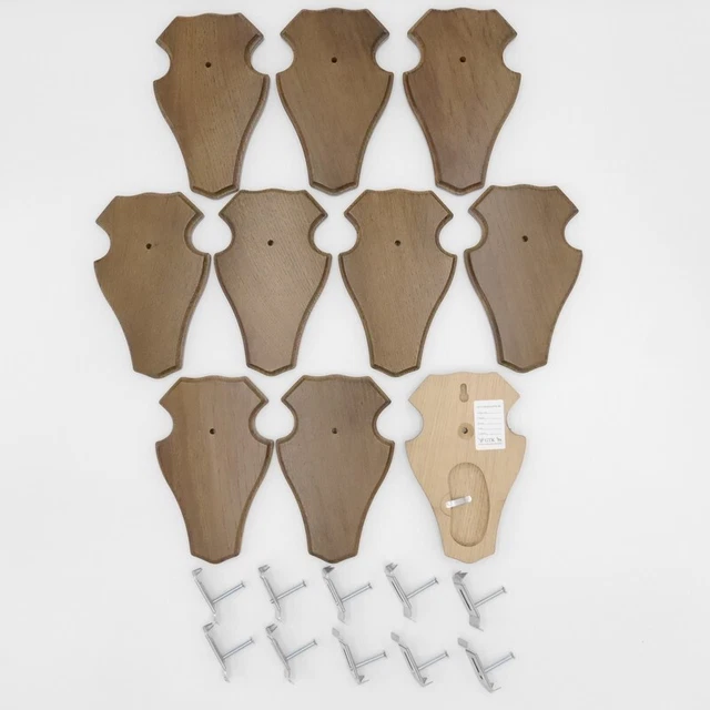 10 Pieza Ciervo Escudo de Trofeo Romo Braun Af 19cm x 11cm Con Kf + 10x Pinzas