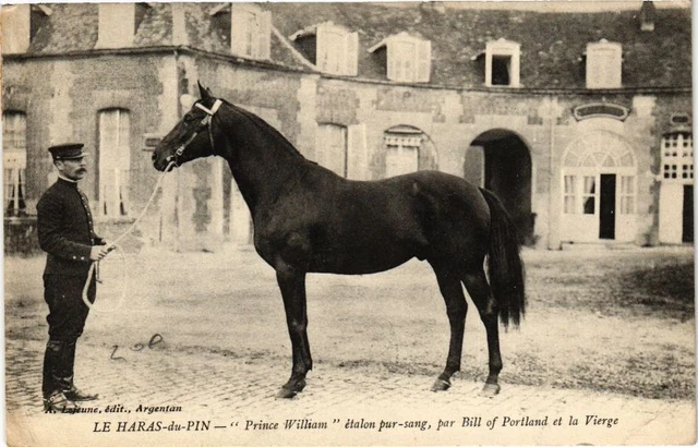 CPA Le HARAS-du-PIN - Prince william (195694)
