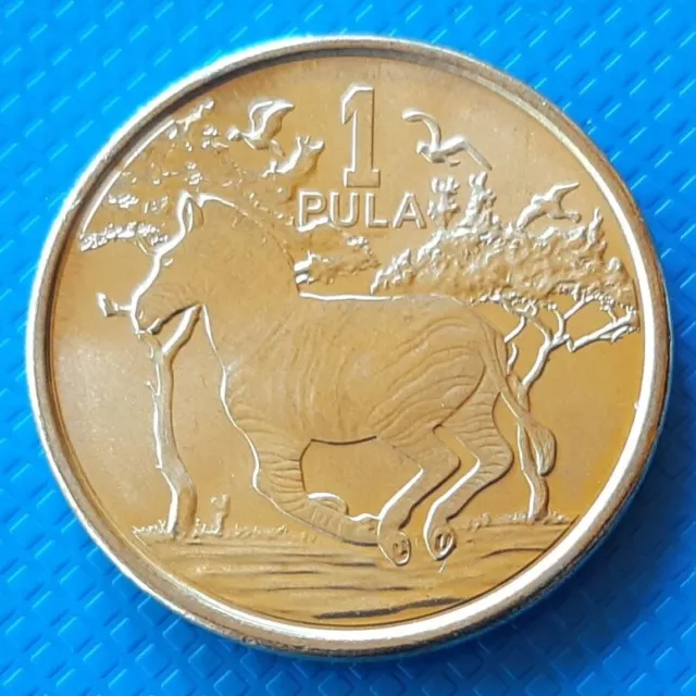 Botswana 1 pula 2016 UNC Zebra