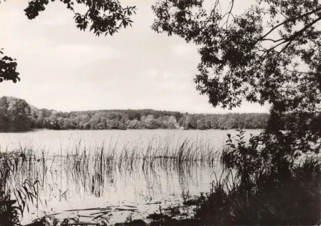 Biesenthal -  Brandenburg, DDR Ansicht Postkarte, gelaufen 1966