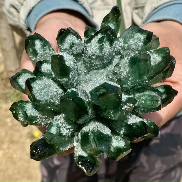 1.70LB New Find Green Phantom Quartz Crystal Cluster Mineral Specimen Healing