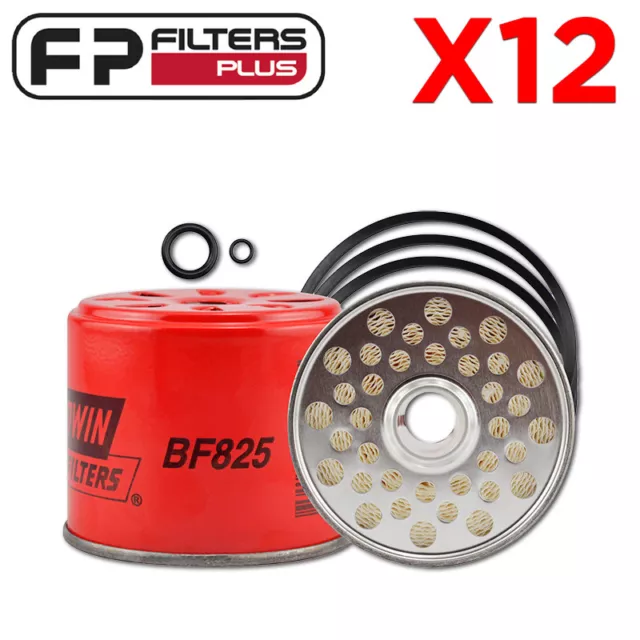 12 PACK of BF825 Fuel Filter (RYCO R2132P) - Suits 5836B100 Delphi CAV - FF167a