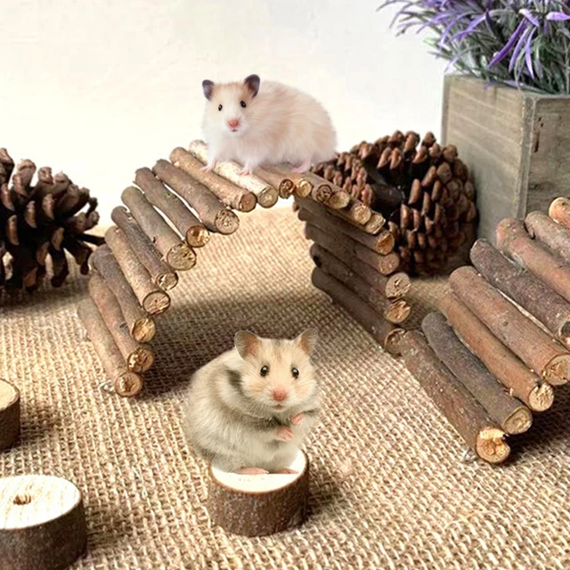 Hámster puente de arco establo de escalada multifuncional escalera mascota madera