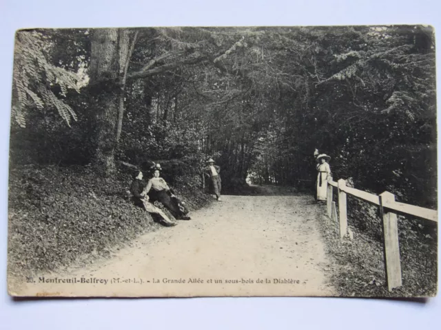 06D4 Cpa - Carte Postale - Montreuil Belfroy - La Grande Allée Et Un Sous Bois