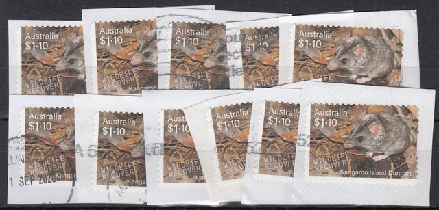 AUSTRALIA $1.10 KANGAROO Island Dunnart x10 used on paper $1.99 ...