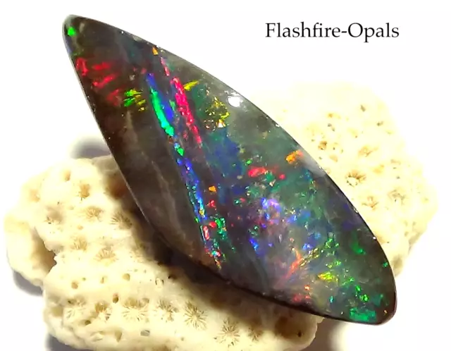 26,8ct.  GEM BOULDER OPAL BRILLIANT ROT-BLAU-GRÜN VIDEO FLASHFIRE-OPALS