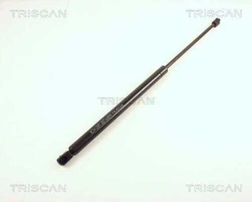 TarosTrade Molla A Gas Per Portellone Con Finestrino Apribile – Compatibile Con Renault Scenic 1999-2003, Codici 7700828454, 6011ABD - 2