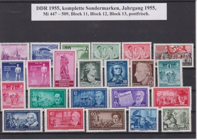 DDR 1955, Sondermarken, kompl. Jahrgang mit Blocks, postfrisch, Mi 447 -  509.