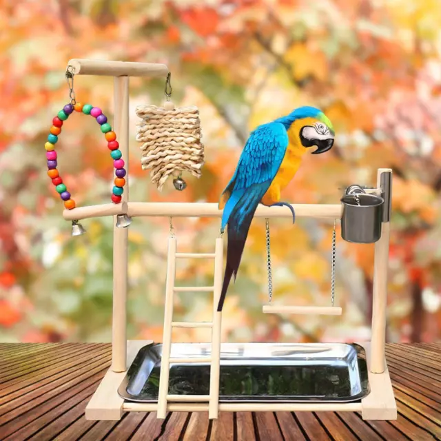 Parrot Playstand Aire de jeux pour oiseaux avec mangeoire échelle d'escalade