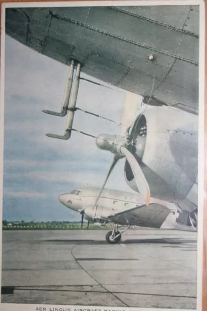 AK Airliner Postcard Flugzeug AER LINGUS DC-3 airline issue