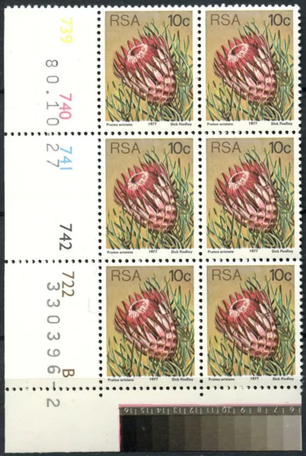 South Africa 1977-82 SG#423 10c Proteas, Plants Definitive MNH P12.5 Block#E8971