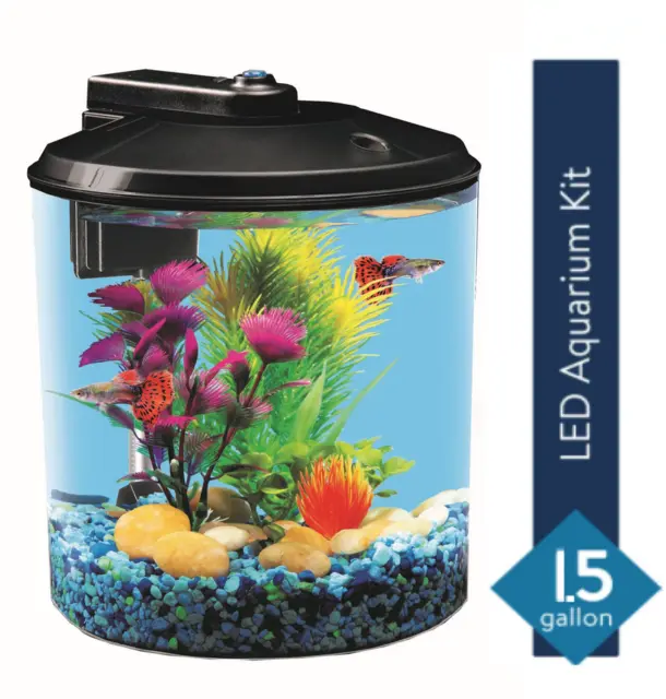🐠 Aquarium Kit LED Lighting Internal Filter 🐠 1.5-Gallon Home Office Desk Tank