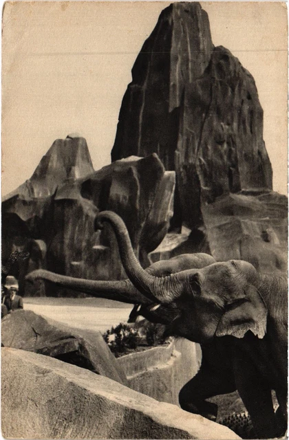 CPA PARIS Bois de Vincennes Elephant Zoological Park (1240981)