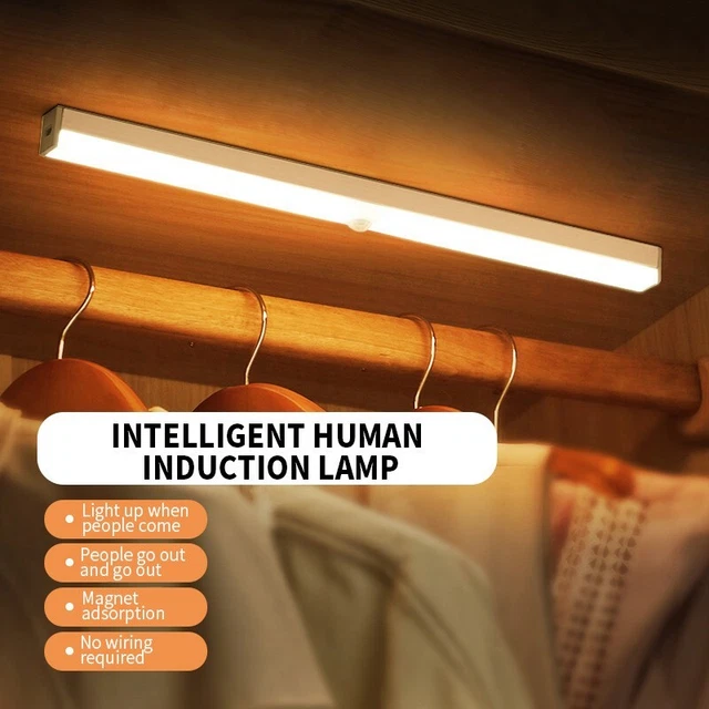 Luce LED Da Collare Per Cani A Lunga Durata: Impermeabile, Visibilità Notturna Per Passeggiate, Campeggio E Running, Adatta A Taglie Piccole E Grandi