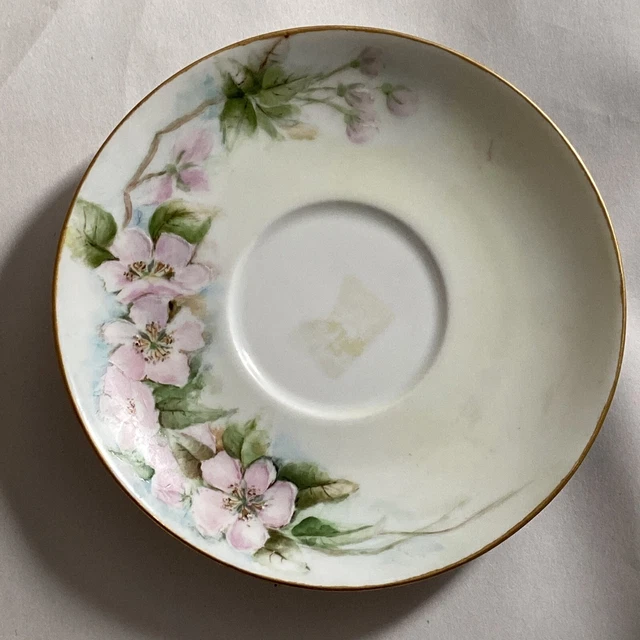 Antique  MZ Austria SAUCER  Hand painted Pink Wild Roses Gold Trim