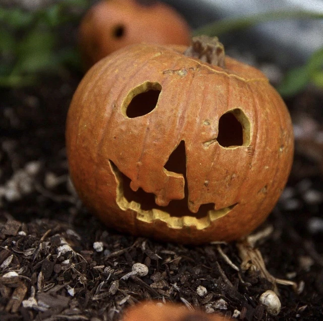 1/6 Michael Myers Pumpkin 1978 not Ones Customs Madbug Horror Halloween Ends fig