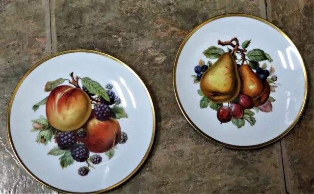 Vintage Set of 2 Mitterteich Fruit Pattern Plates BAVARIA GERMANY -  AUTHENTIC