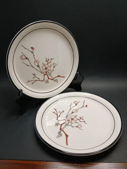 arklow pottery ireland Dessert Plates X2 Honey Stone 8166. BB1