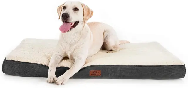 Bedsure Dog Bed for Large Dogs - Big Orthopedic Dog Bed with Removable Washable