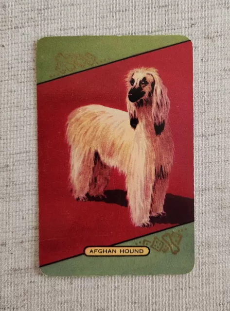 Swap Card, Genuine Vintage Coles Card, Named Afghan Hound
