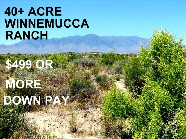 Beautiful 40+ Acre Ranch - Staked & Surveyed - No Qualify Terms - $499 Down Plus