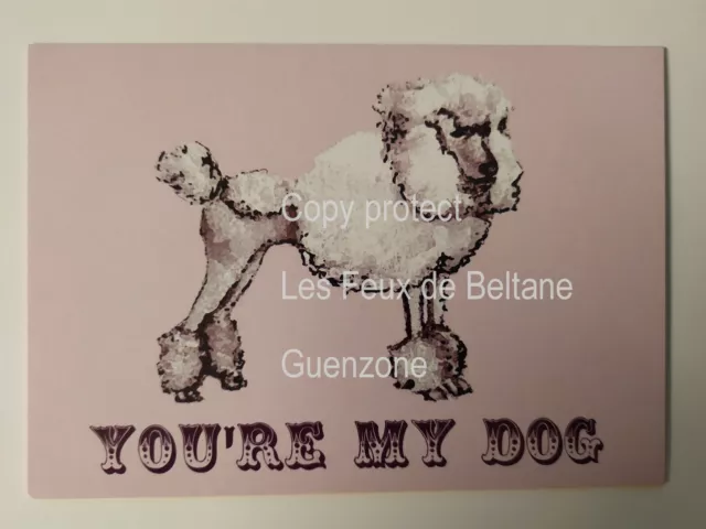 YOU'RE MY DOG CANICHE PINK  ROSE carte postale postcard