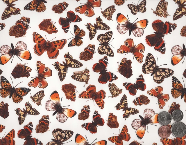 Hoja de calcomanías de cerámica sobreesmaltado Allover Butterfly Chintz 1 pieza 9"" X 13-3/4"" 2958