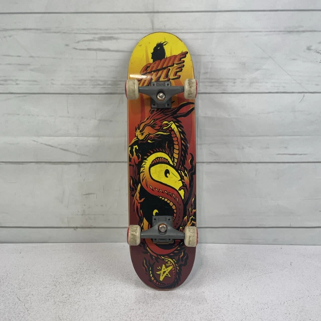 Plan 暖め B skateboard Caine Gayle コンプリートセット