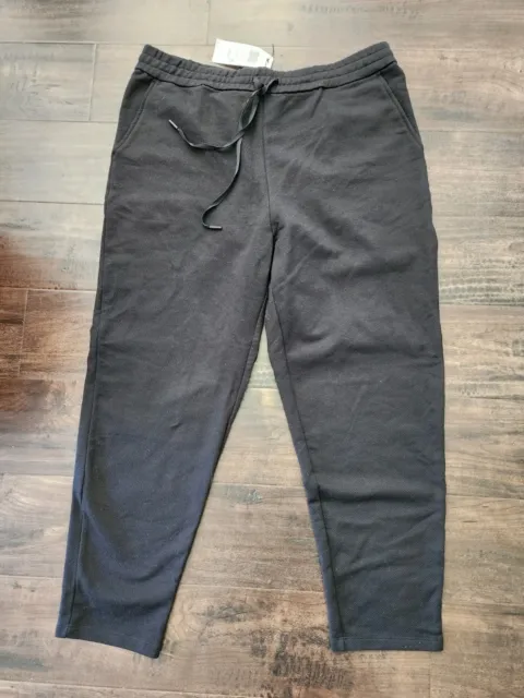 NWT Eileen Fisher Black Slouchy Ankle Pants Sz L
