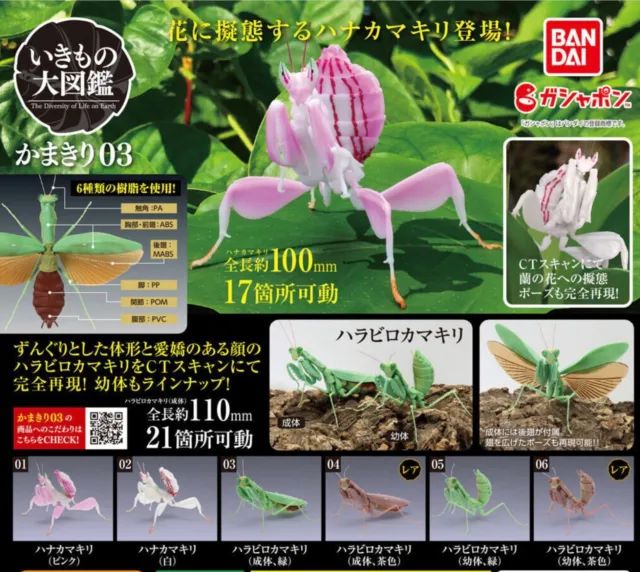 New vol.3 Praying Mantis 6 Figure Complete Set BANDAI from Japan