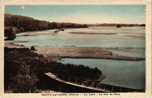 CPA NEUVY-sur-LOIRE La Loire Le Bois de Renau Nievre (100196)
