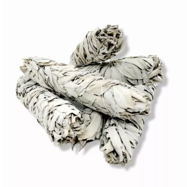 Bulk Californian White Sage Smudge Sticks Jumbo 20-22cm Incense Cleansing Bundle