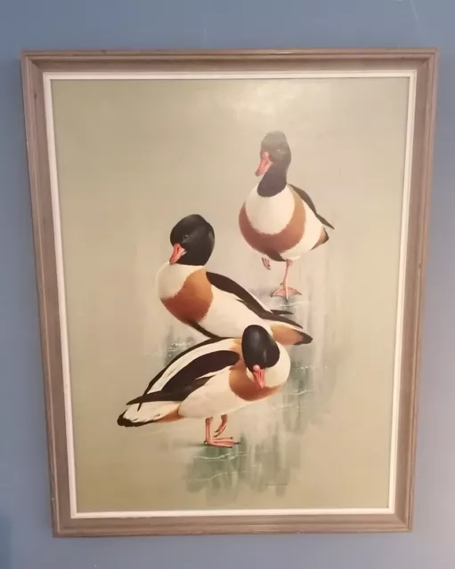 Shelduck on the ice Ltd edition print 26x21