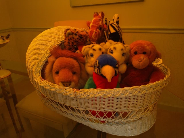 Safari, Jungle, Wildlife, Noah's ark, Baby room or shower decor