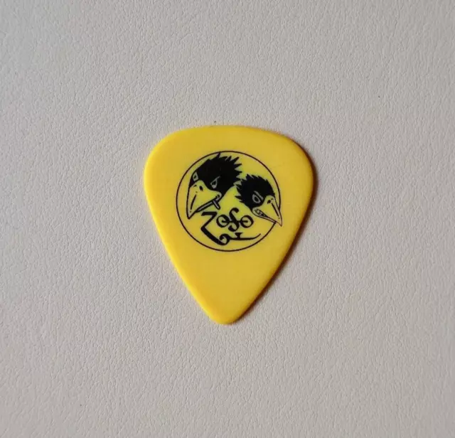 MEGA RARE: Jimmy Page The Black Crowes Led Zeppelin Plectrum Concert guitar pick