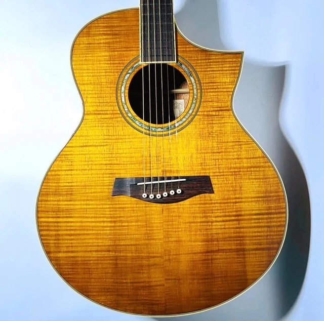 Rarity Ibanez Eco Ew20Koent1201 Acoustic Guitar Difficult To Get