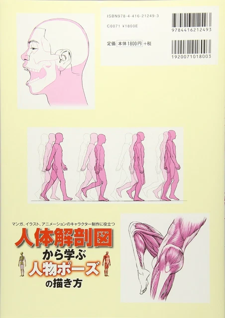 HOW TO DRAW Person Pose Human Anatomy Art Book Character Illustration ...