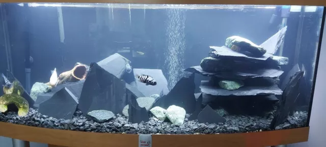 Aquarium Slate Fish Tank Rock Natural Stone BLACK SLATE