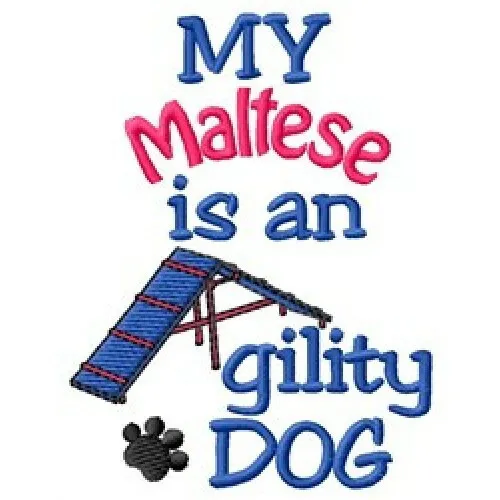 My Maltese is An Agility Dog Ladies T-Shirt - DC2010L Size S - XXL