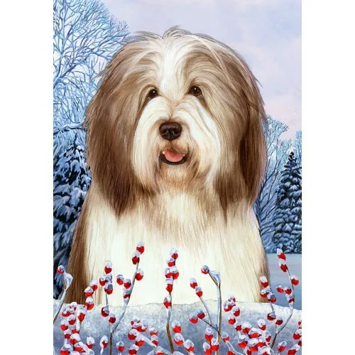 Winter House Flag - Brown and White Bearded Collie 15482