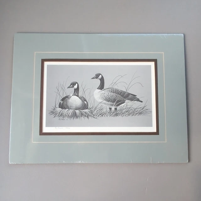 RAY BARONE ARTWORK Scratchboard Drawing Wildlife Ducks Signed Number