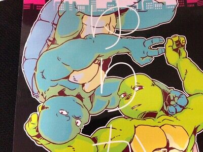 TEENAGE MUTANT NINJA Turtles doujinshi Leo Raph Mike (A5 52page 