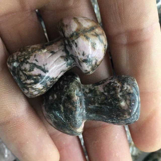 4pc Natural rhodonite jasper Quartz hand Carved mushroom crystal Reiki healing