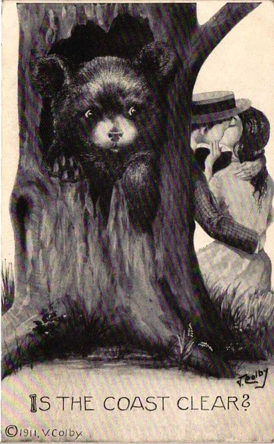 Animal~Artist V Colby~Bear Humor~Is Coast Clear?~Kissing Couple Unaware~1912 PC