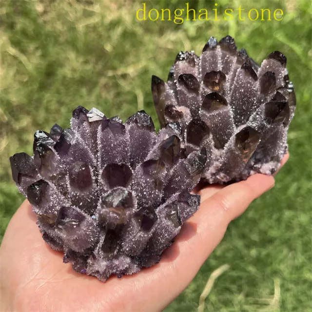 1PC New Find Purple Phantom 300g+ Quartz Crystal Cluster Mineral Specimen Gift